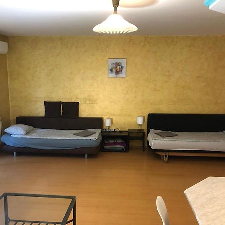 Large Apartment With Garage And Terrace Budapeşte Dış mekan fotoğraf