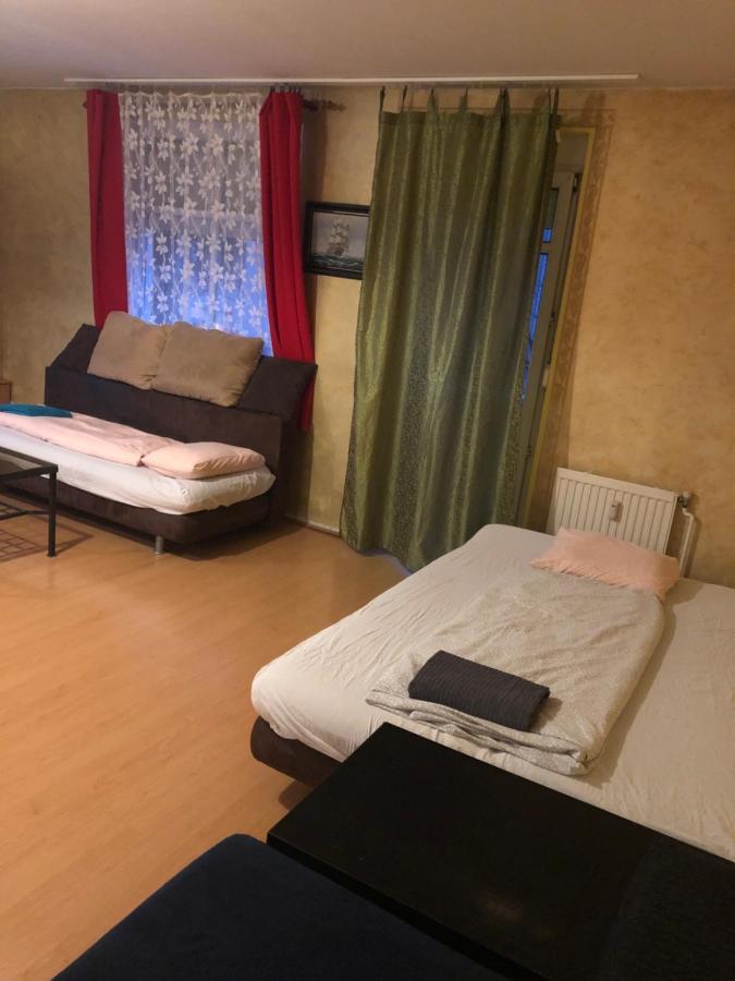 Large Apartment With Garage And Terrace Budapeşte Dış mekan fotoğraf